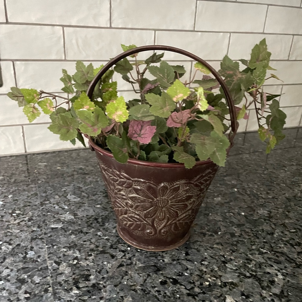 Metal decorative pail